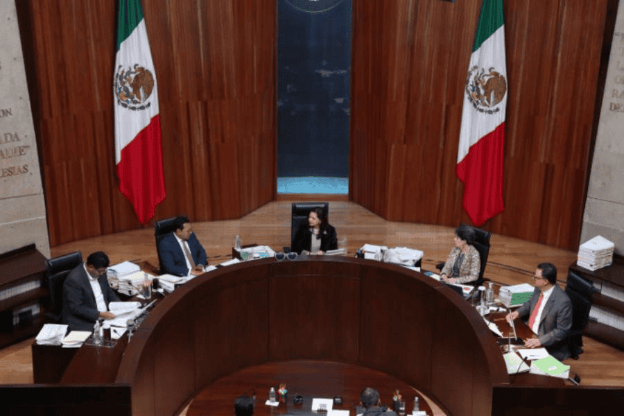 TEPJF ordena que mujer se disculpe por violencia política de género contra políticos del PT Sonora