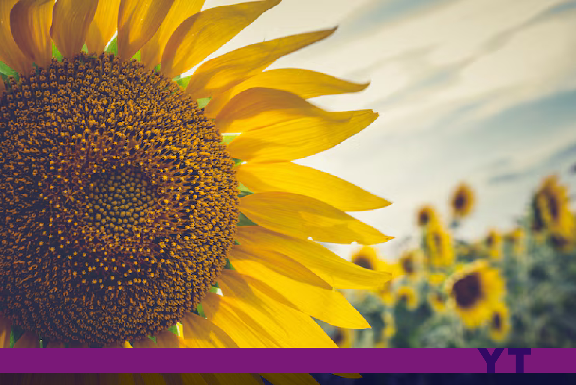 Este es el símbolo internacional de las discapacidades no visibles