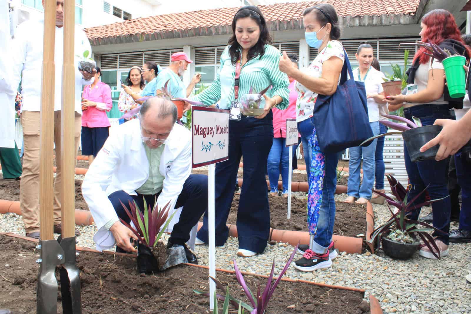 Inauguran huerto medicinal en el Hospital Juan Graham