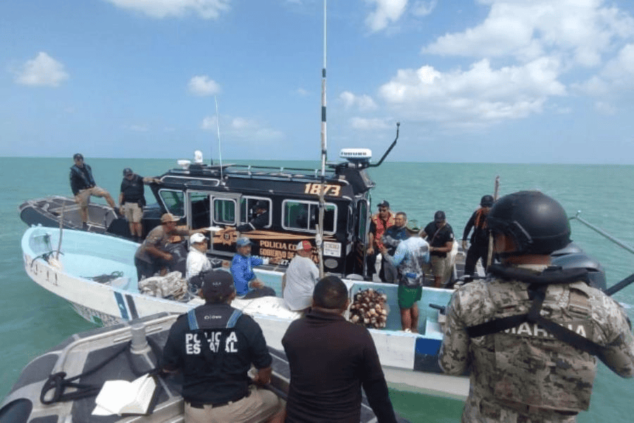 Aseguran 2 lanchas con especies en veda e instrumentos prohibidos para pesca en Yucatán
