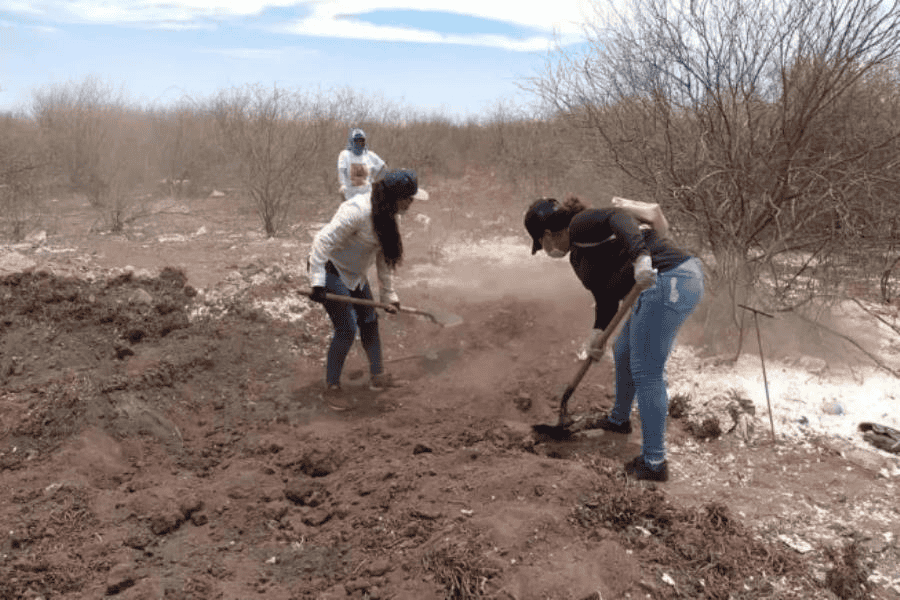 Hallan restos de 11 personas en 4 fosas clandestinas en Sonora
