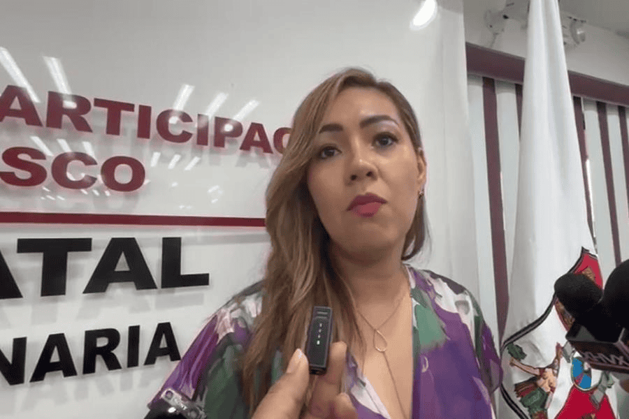 Ve IEPC complicado que una sola institución organice elecciones federales y estatales