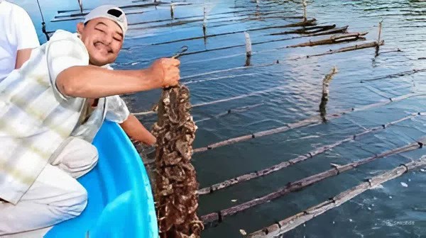 Agricultura anuncia veda para el callo de hacha, tilapia, langosta, robalo, ostión y caracoles