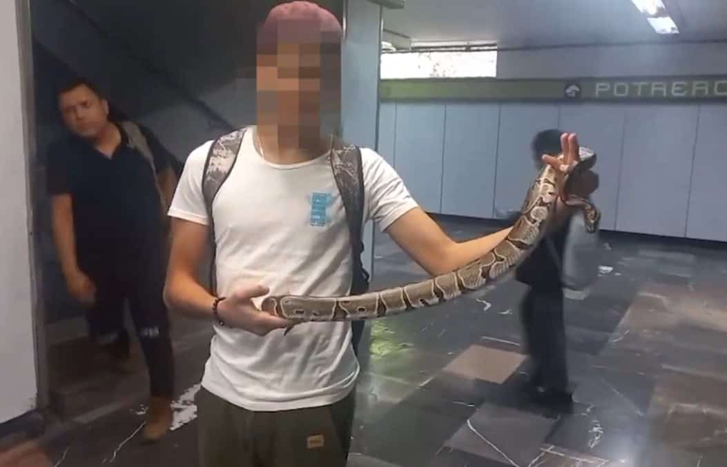 Detienen a joven por ingresar con una serpiente a estación del Metro en CDMX