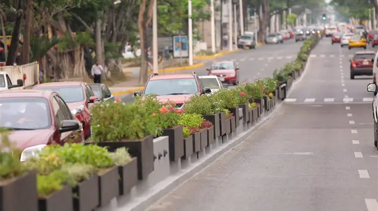 De “capricho y ocurrencia”, califica Beaurregard proyecto para remodelar Paseo Tabasco
