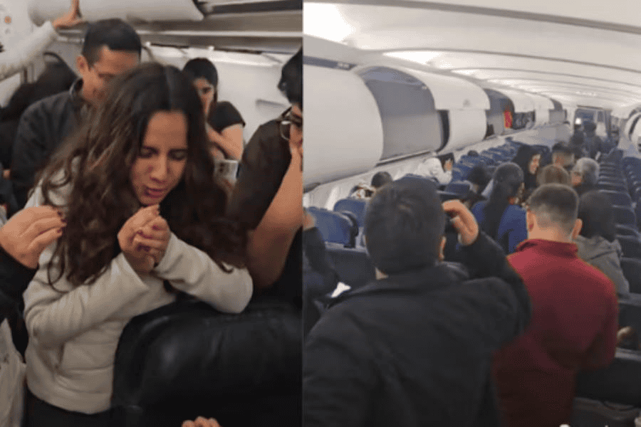 Retrasa 3 horas vuelo nacional en Perú tras perder a su hámster en un avión