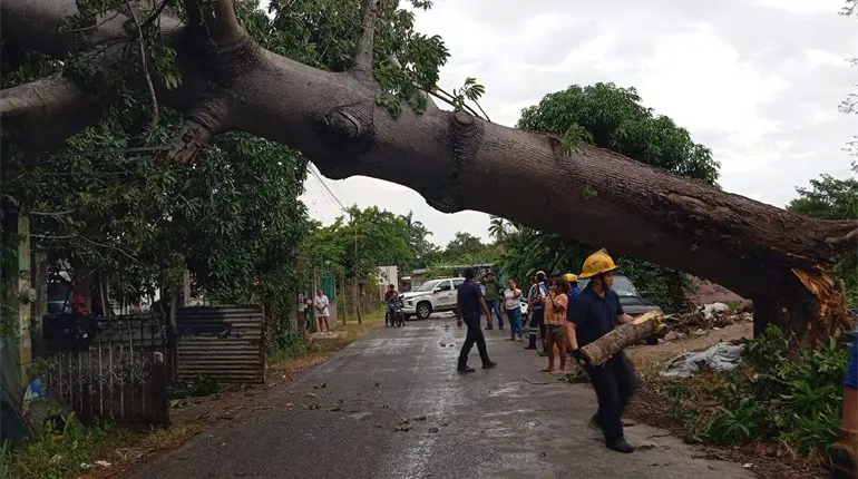Reconoce Ayuntamiento de Centro labor de bomberos durante atención de incendios y derribe de árboles