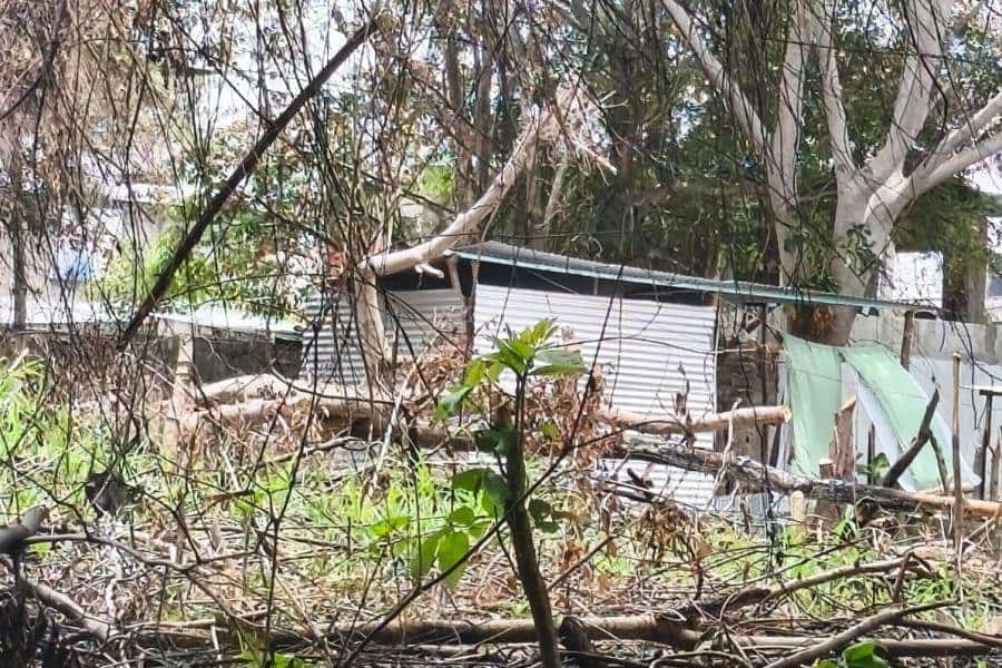 Denuncian presunta invasión de terrenos de secundaria en la Villa Ocuiltzapotlán