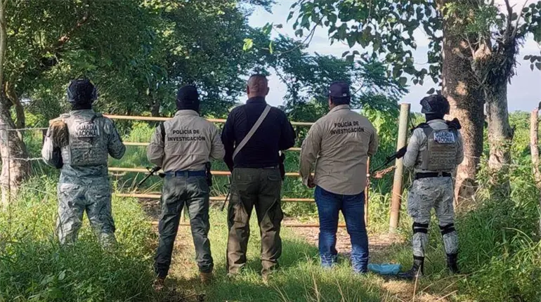 FIRT Olmeca recupera 100 semovientes durante operativo en Huimanguillo