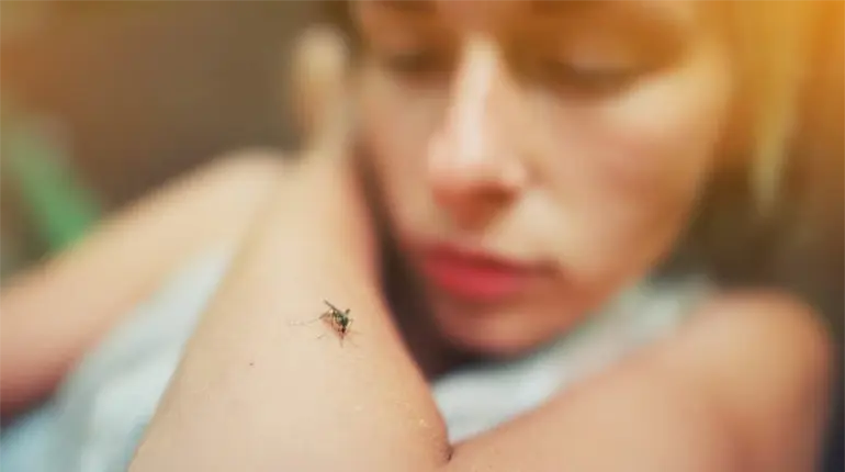 Tabasco, 2do. lugar nacional en incidencia de dengue: Salud