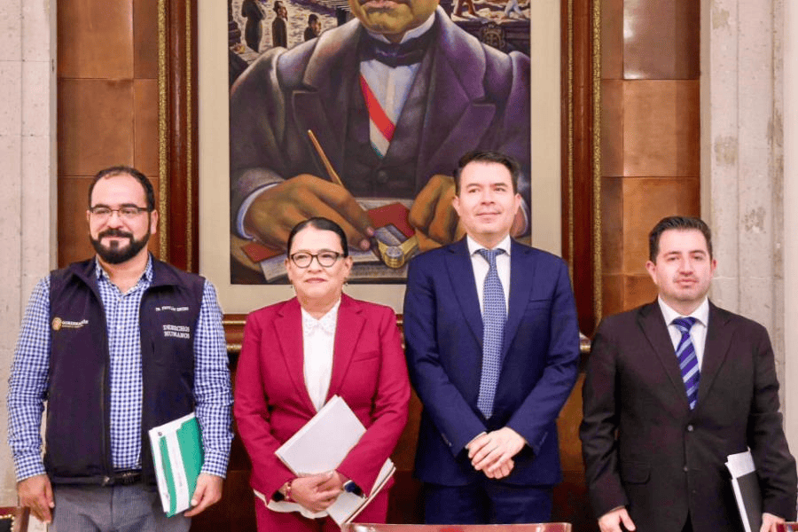 Rosa Icela comparte los 27 perfiles finalistas para liderar la CNB