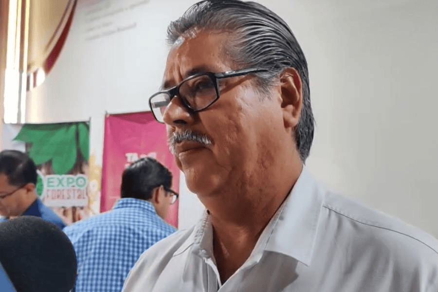 Tabasco 4to lugar nacional en plantación forestal comercial y producción de madera: Comesfor