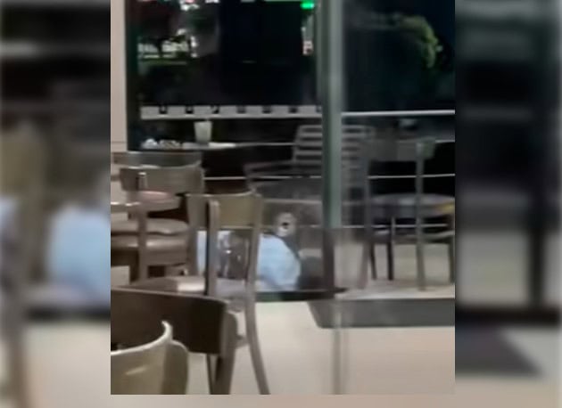 Ejecutan en Chiapas a Rafael Arturo Vila, hermano de delegado de la FGR de Guanajuato