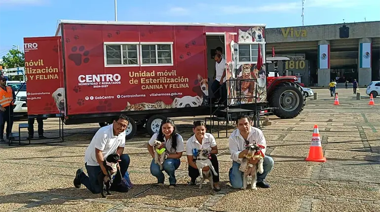A partir de este jueves, Centro pondrá en marcha su nueva unidad de esterilización canina y felina