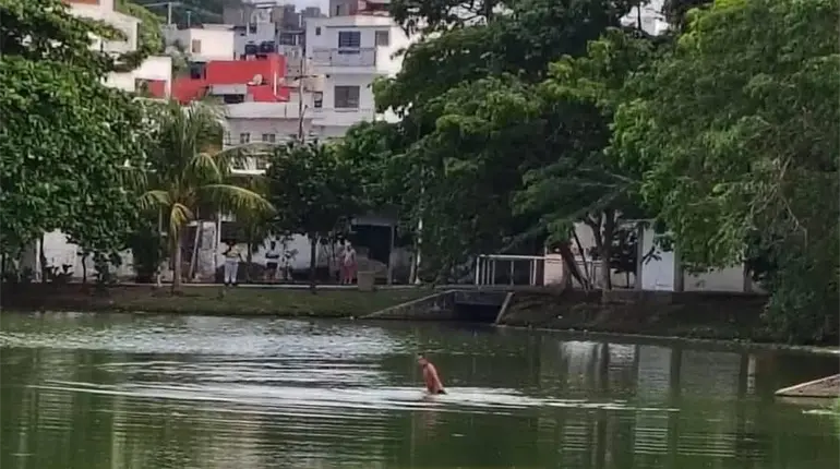Captan a hombre dentro de Laguna El Jícaro, hábitat de cocodrilos
