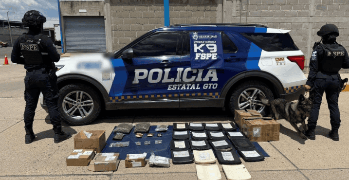 Perro policía frustra envío de droga y equipo táctico en Guanajuato