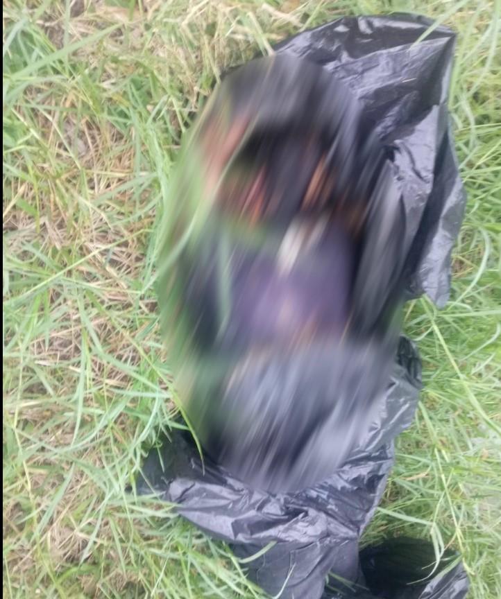 Hallan restos humanos en los límites de Cunduacán y Comalcalco Hallan restos humanos en los límites de Cunduacán y Comalcalco
