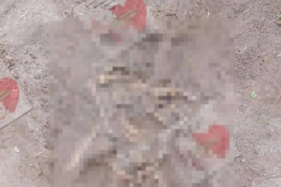 Colectivo halla osamenta en una fosa clandestina en Tamaulipas