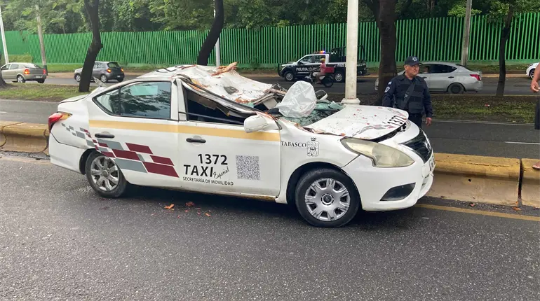 Caída de árbol sobre Ruiz Cortines deja 2 lesionados