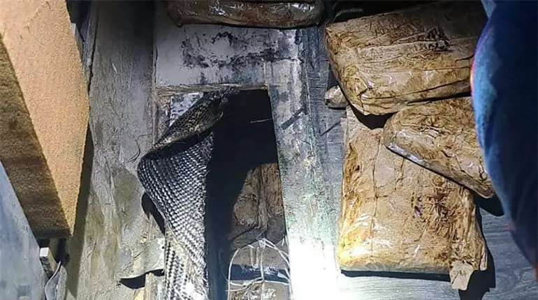 Detienen a dos con 48 kilos de heroína en Sonora: Gabinete de Seguridad
