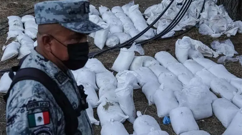 7 mil 587 detenidos y casi 100 toneladas de droga incautadas, suma Operación Frontera Norte