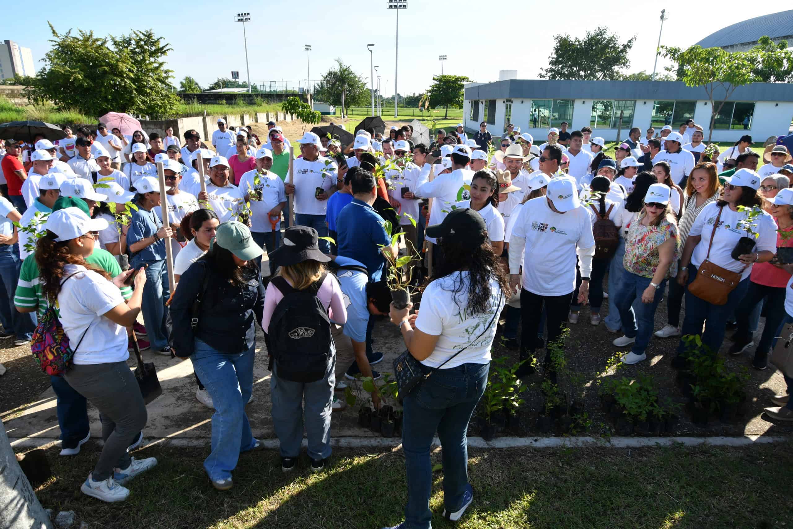 Planta UJAT más de 2 mil árboles en las 12 divisiones