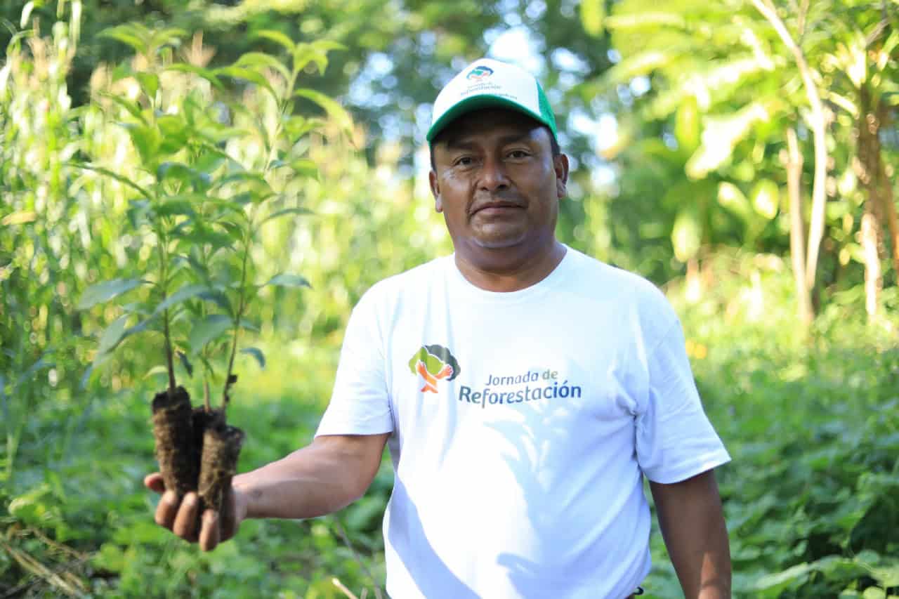 Jornada de reforestación superó los 2.7 millones de árboles: May