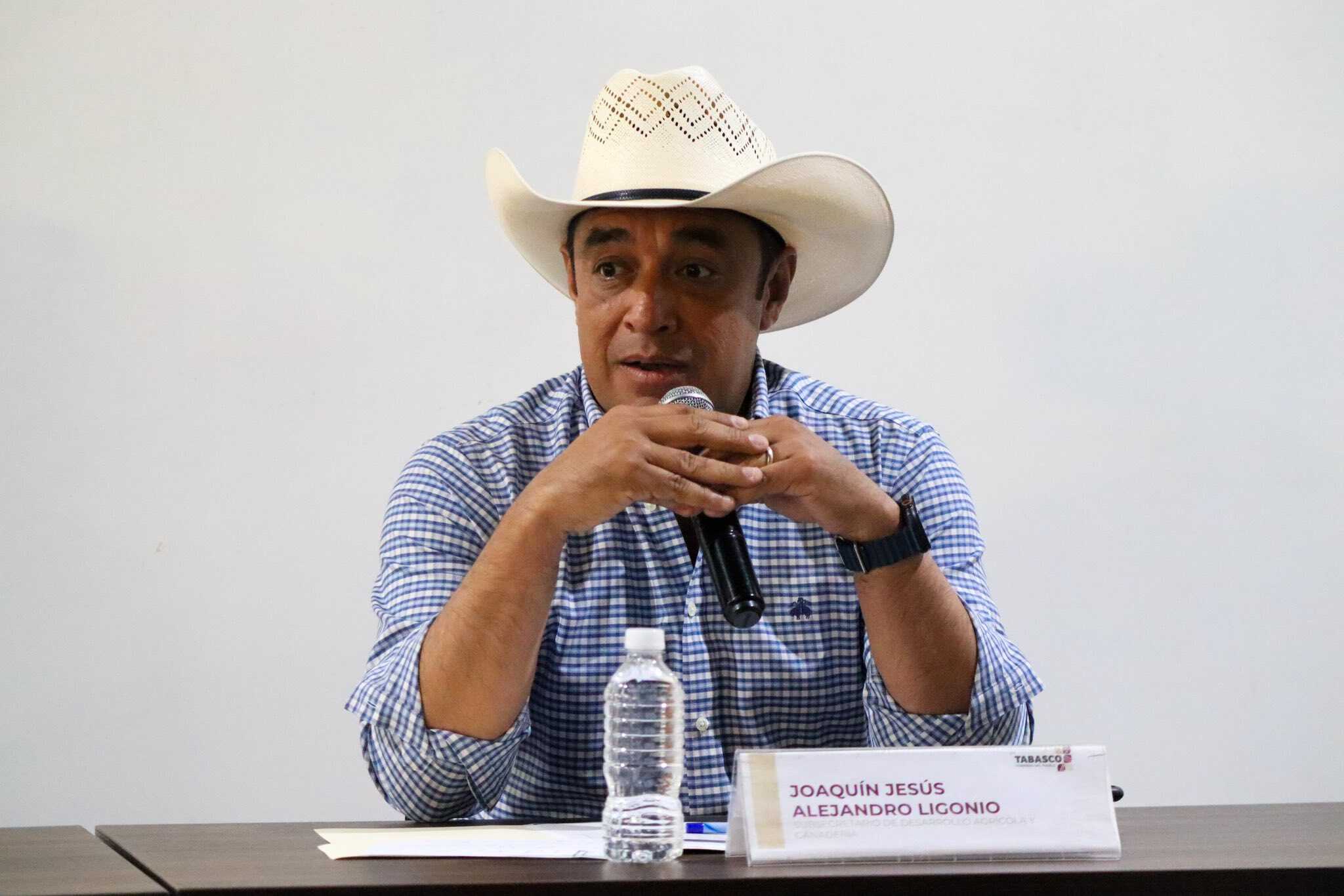Gusano barrenador va a la baja en Tabasco asegura SEDAP