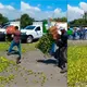 Productores de limón de Apatzingán tiran kilos de limón en protesta a los bajos precios del producto