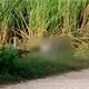Localizan hombre sin vida y maniatado en Cárdenas
