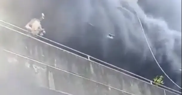 Mujer arriesga su vida para salvar a sus perritos en voraz incendio en Filipinas