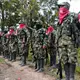 ELN anuncia tregua navideña en Colombia