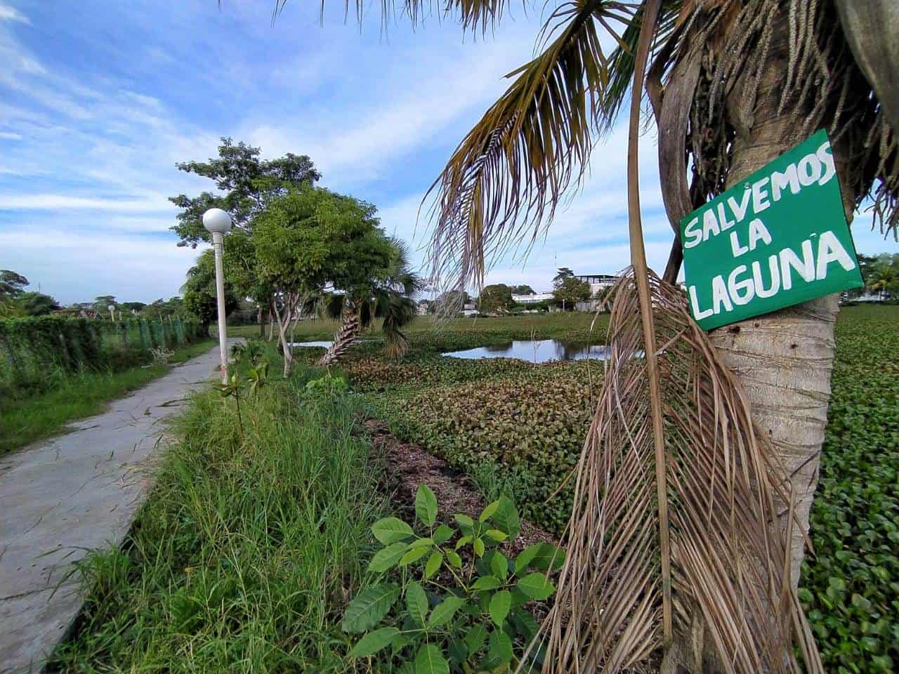 Más de 10 años en el abandono el parque Macuco Más de 10 años en el abandono el parque Macuco