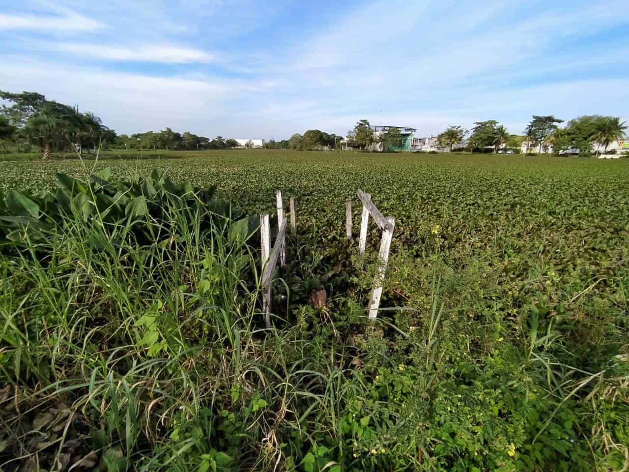 Más de 10 años en el abandono el parque Macuco Más de 10 años en el abandono el parque Macuco