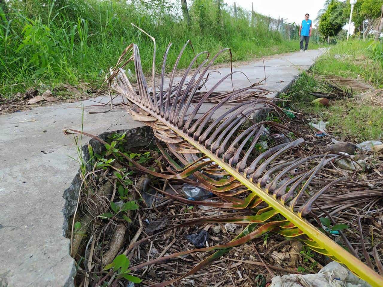 Más de 10 años en el abandono el parque Macuco Más de 10 años en el abandono el parque Macuco