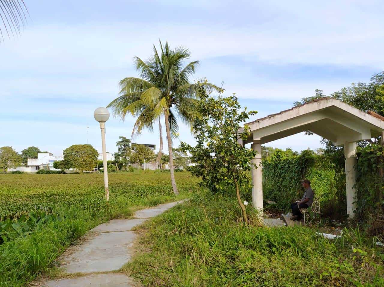 Más de 10 años en el abandono el parque Macuco Más de 10 años en el abandono el parque Macuco