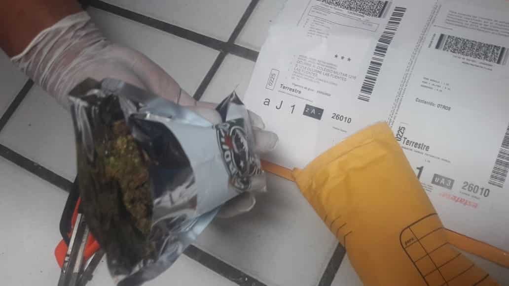 Decomisan droga en empresa de paquetería Decomisan droga en empresa de paquetería