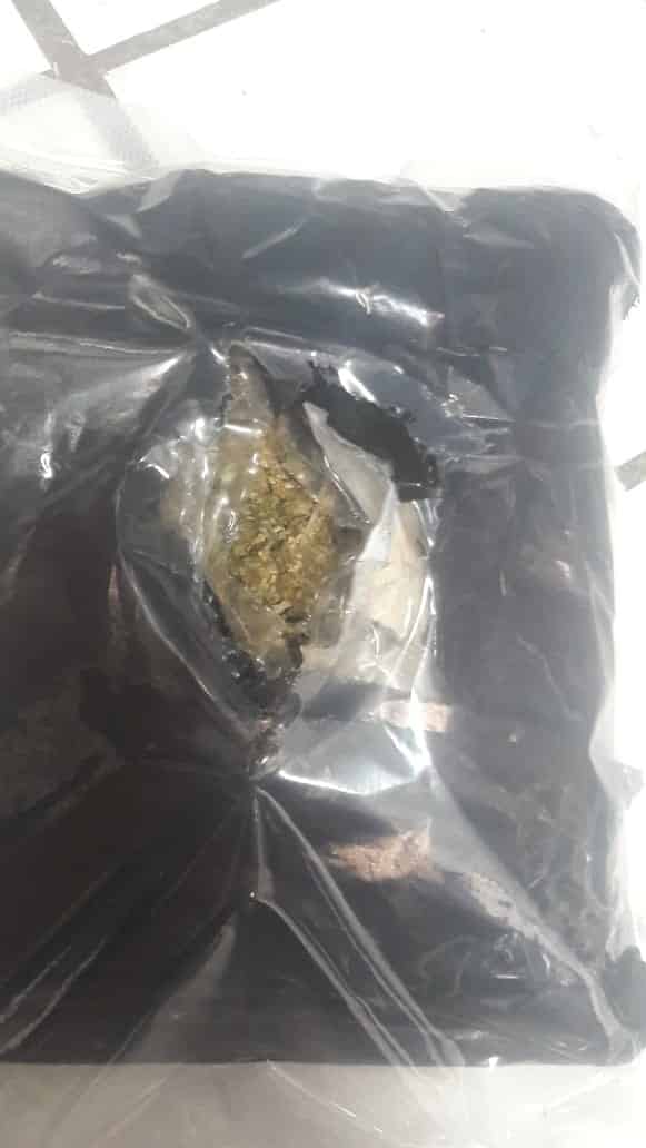 Decomisan droga en empresa de paquetería Decomisan droga en empresa de paquetería