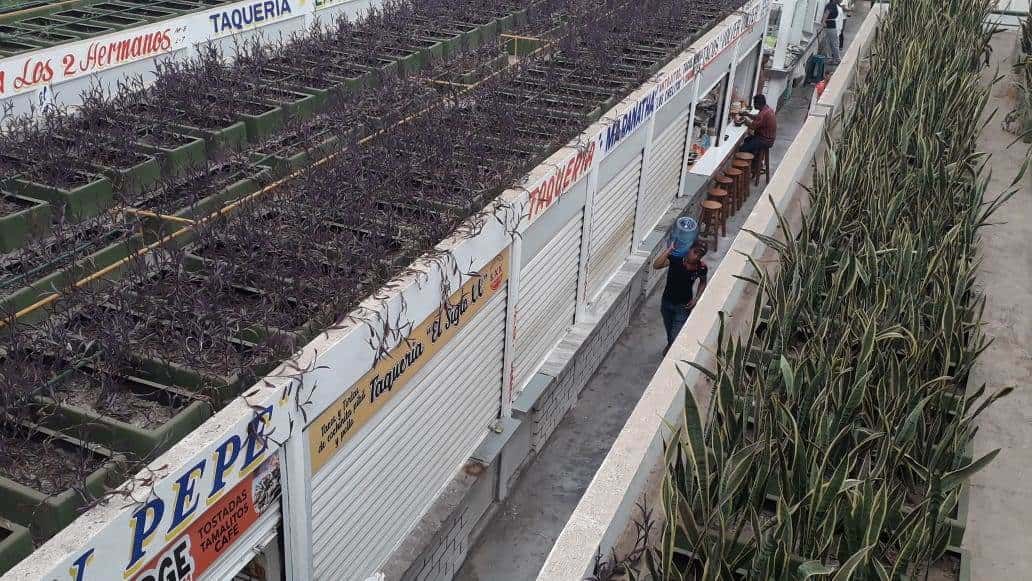 Registra mercado Pino Suárez poca afluencia ante coronavirus Registra mercado Pino Suárez poca afluencia ante coronavirus