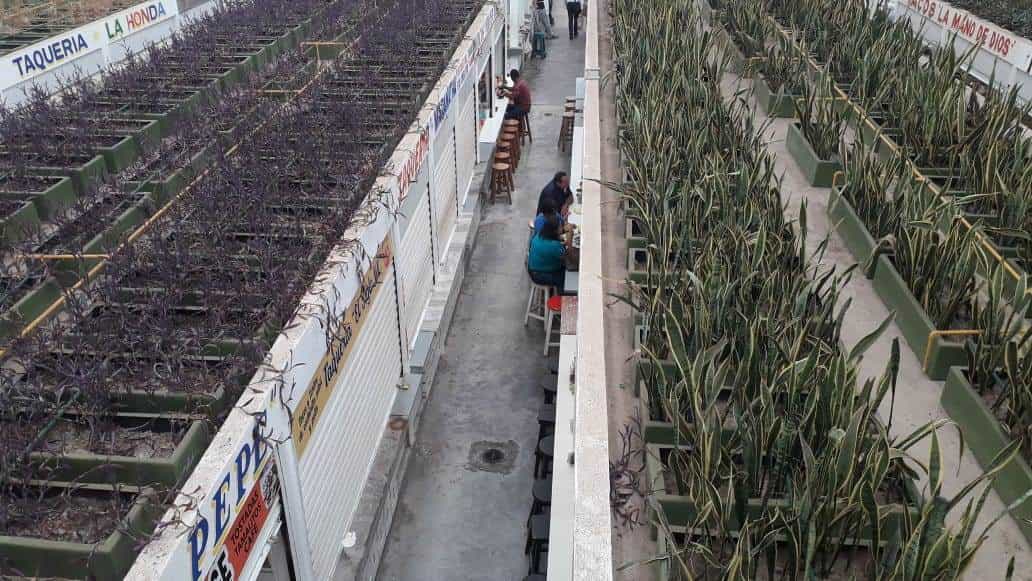 Registra mercado Pino Suárez poca afluencia ante coronavirus Registra mercado Pino Suárez poca afluencia ante coronavirus