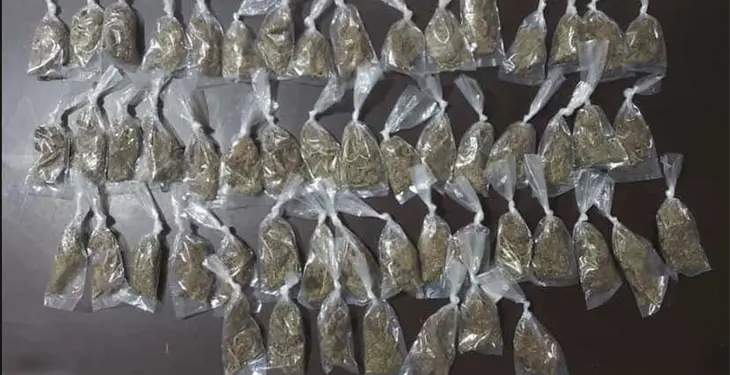 Capturan a cinco presuntos narco distribuidores en Punta Brava Capturan a cinco presuntos narco distribuidores en Punta Brava