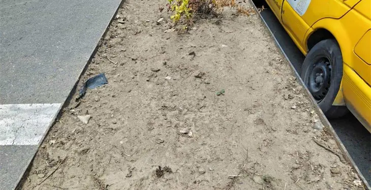 Se secan plantas de jardineras de Paseo Tabasco