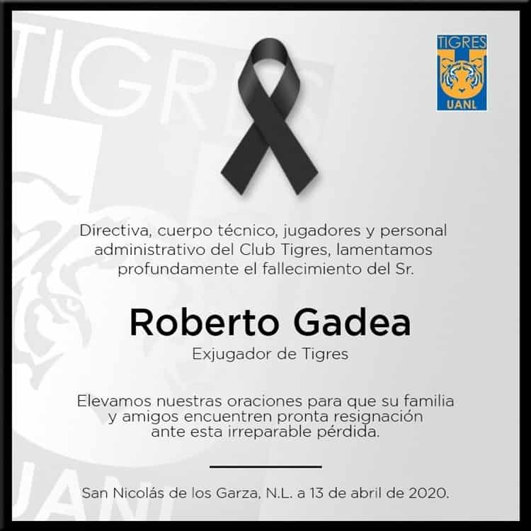 imagen-cuerpo imagen-cuerpo