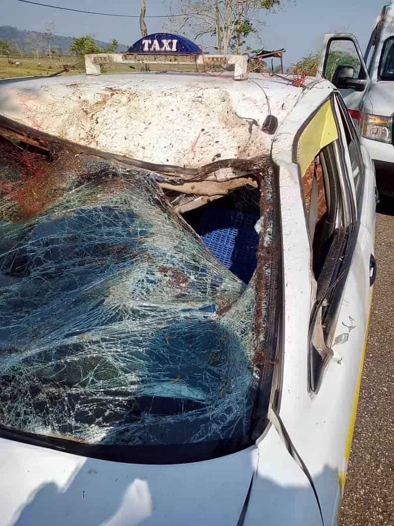 Se impacta taxi contra semoviente en Tenosique Se impacta taxi contra semoviente en Tenosique