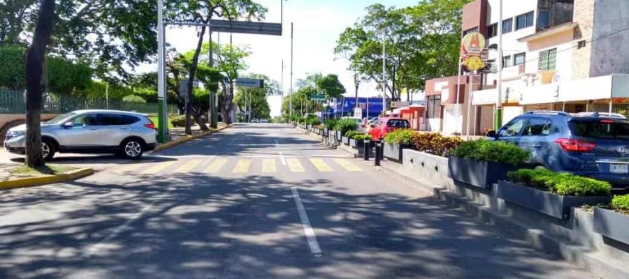 Plantean arquitectos proyecto que contempla remover jardineras de Paseo Tabasco