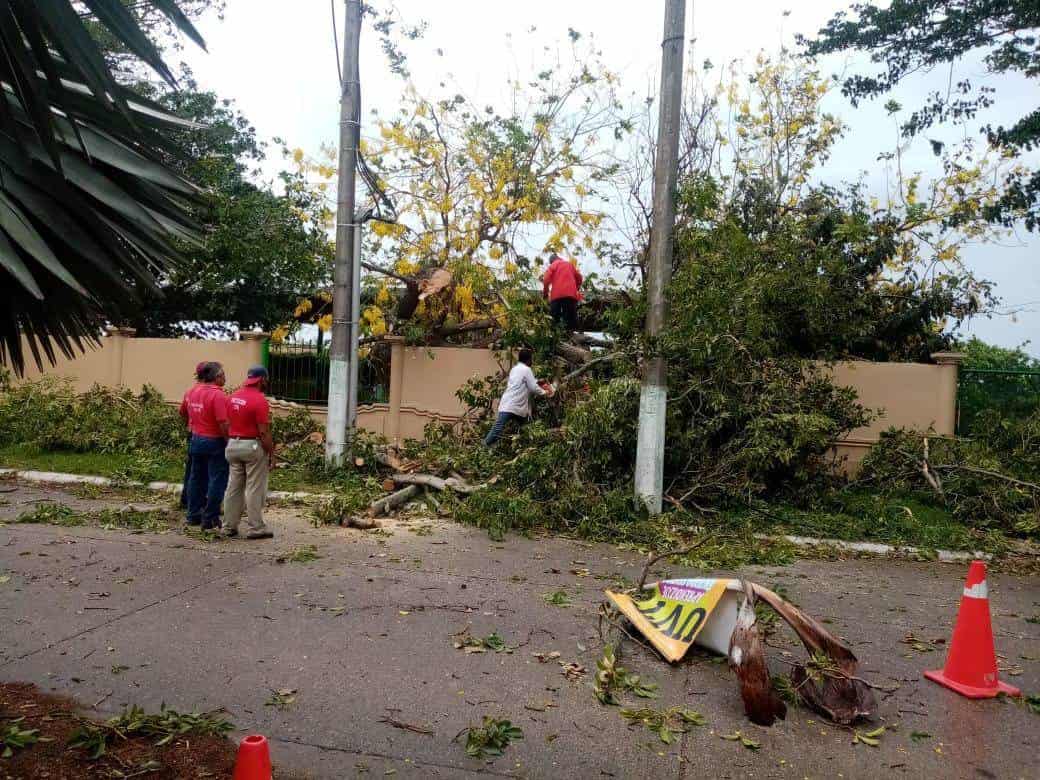 Ventolera deja daños en la Chontalpa: IPCET Ventolera deja daños en la Chontalpa: IPCET