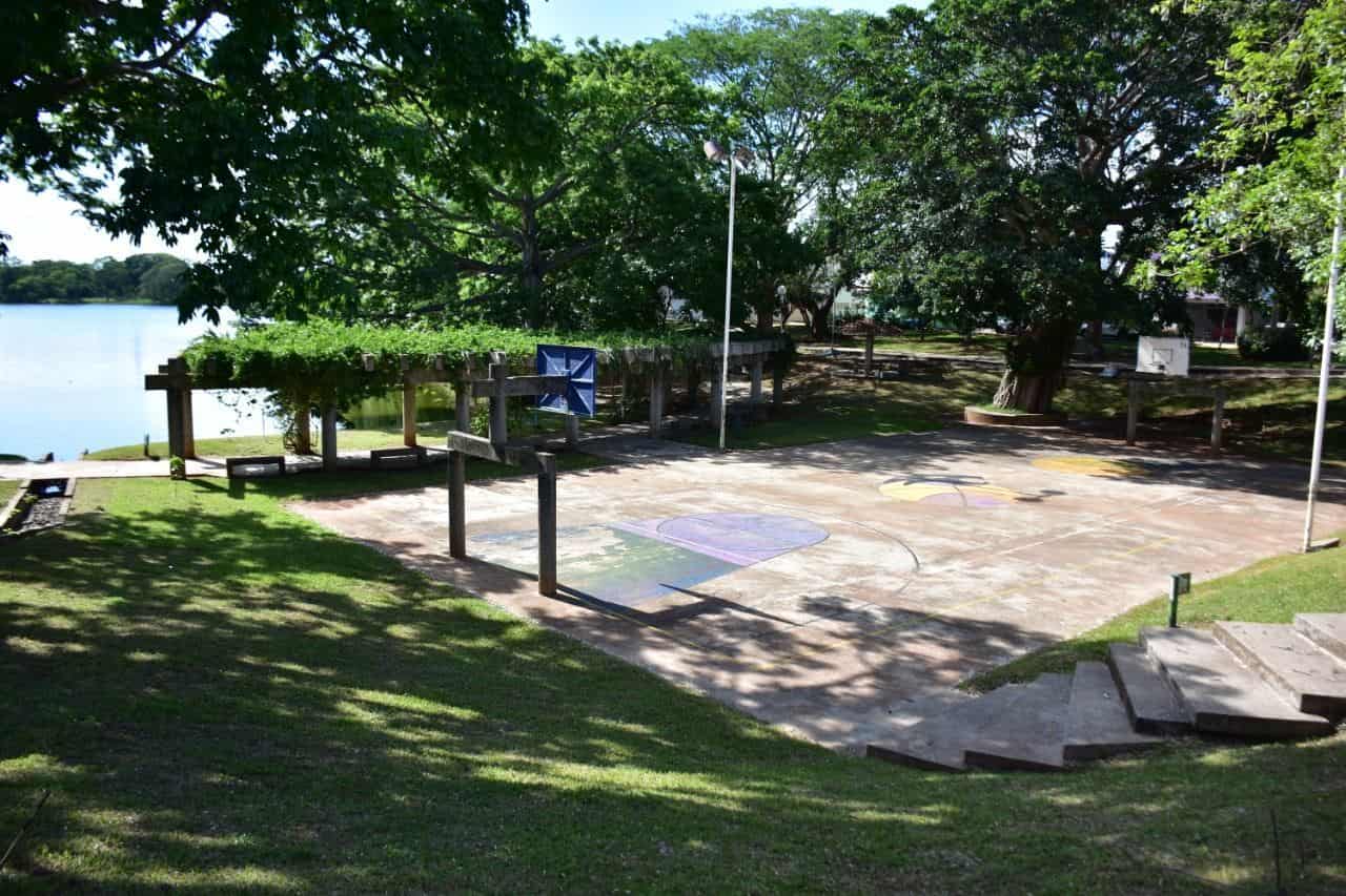 Parques, jardines y fuentes, listos para la nueva normalidad Parques, jardines y fuentes, listos para la nueva normalidad