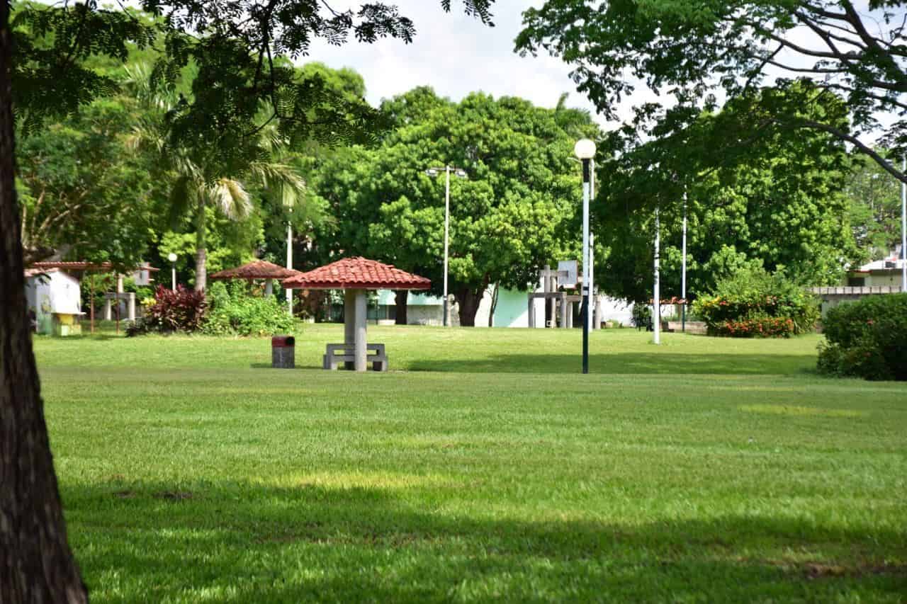 Parques, jardines y fuentes, listos para la nueva normalidad Parques, jardines y fuentes, listos para la nueva normalidad