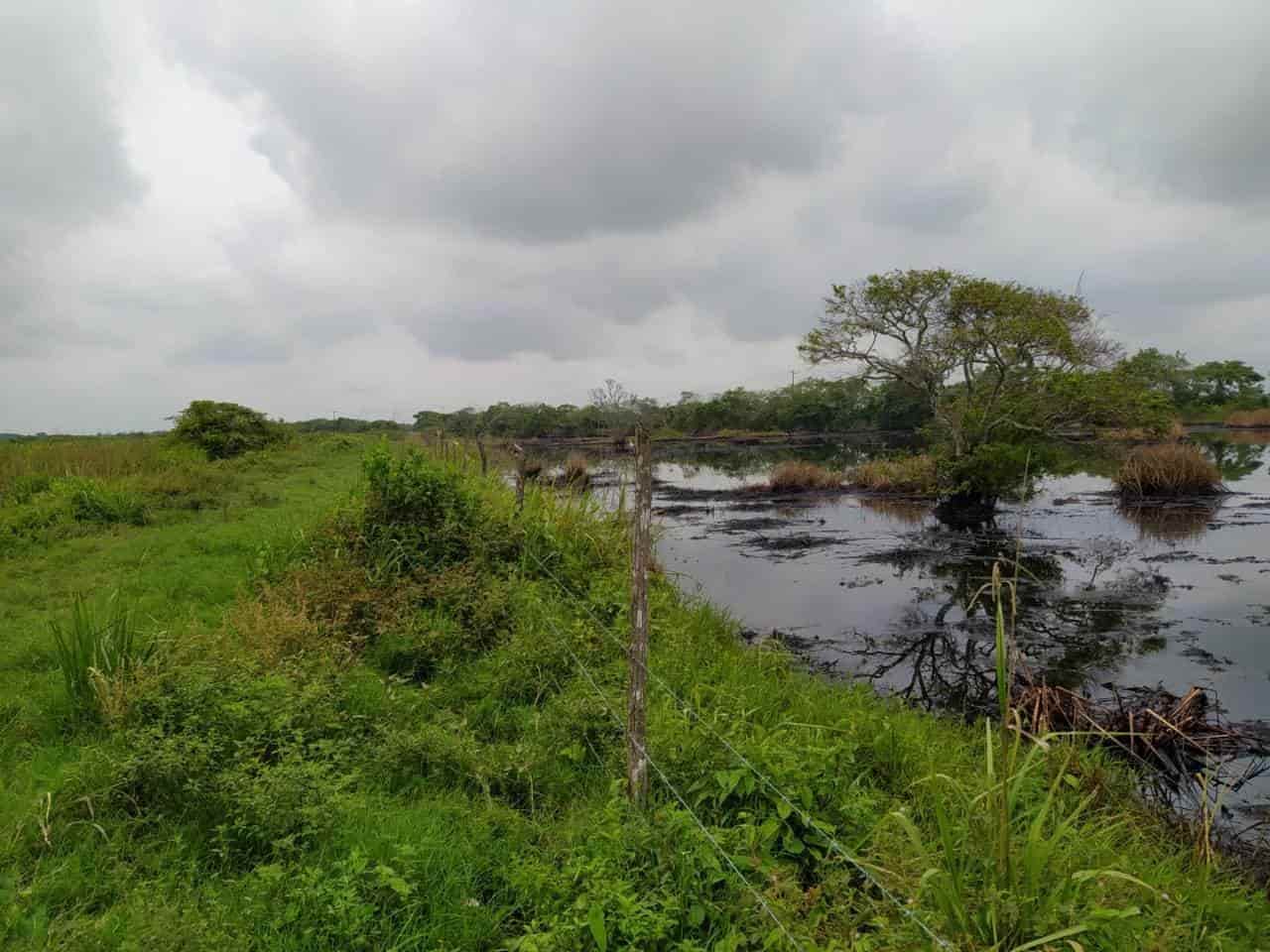 Denuncian vigencia de derrame de hidrocarburos en ranchería de Huimanguillo
