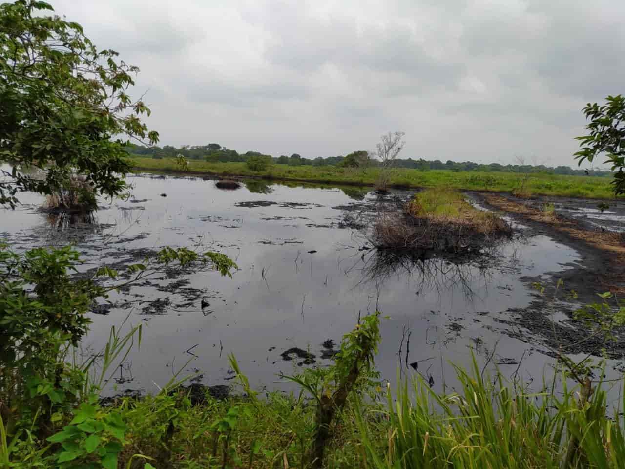 Denuncian vigencia de derrame de hidrocarburos en ranchería de Huimanguillo